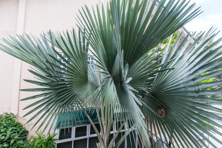 Casa de condomínio à venda com 560m², 4 quartos e 6 vagas Casa de condomínio à venda com 560m², 4 quartos e 6 vagasVista da Suíte