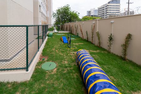 Apartamento para alugar com 35m², 2 quartos e sem vaga Apartamento para alugar com 35m², 2 quartos e sem vagaÁrea comum - Pet Place