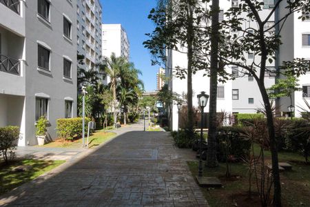 Apartamento à venda com 80m², 3 quartos e 1 vagaÁrea comun