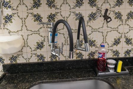 Casa à venda com 296m², 4 quartos e 2 vagasCozinha - Torneira