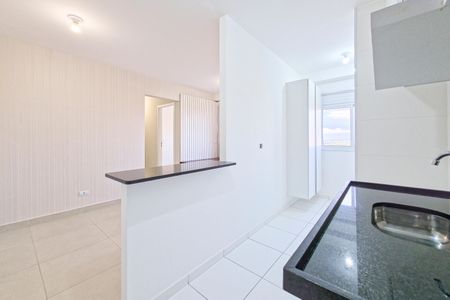 Apartamento para alugar com 65m², 2 quartos e 1 vagaCozinha / Lavanderia