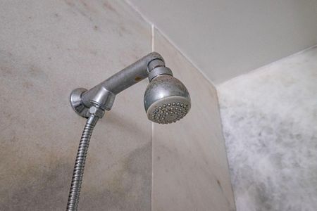 Apartamento à venda com 333m², 3 quartos e 5 vagasBanheiro da Suíte 1