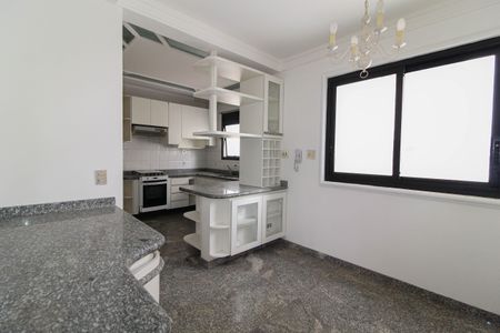 Apartamento à venda com 311m², 3 quartos e sem vagaCozinha