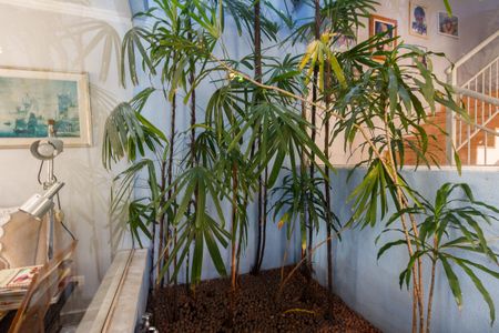 Casa à venda com 267m², 3 quartos e 4 vagasSala de Jantar - Jardim de Inverno 