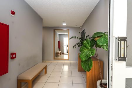 Apartamento para alugar com 55m², 2 quartos e 1 vagaÁrea comum