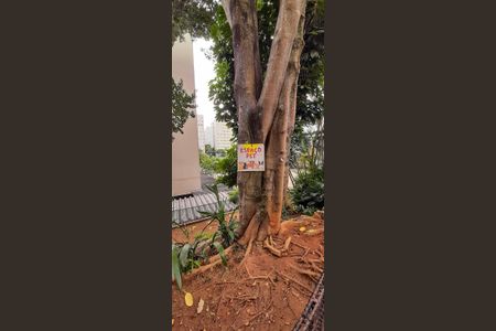 Apartamento à venda com 110m², 3 quartos e 1 vagaEspaço Pet