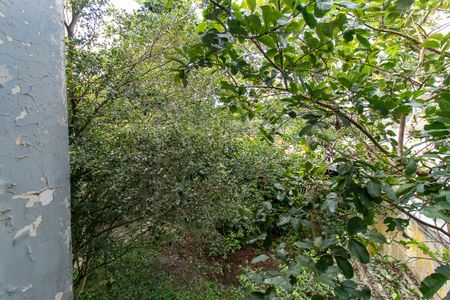 Casa para alugar com 350m², 3 quartos e 9 vagasVista do Quarto 1