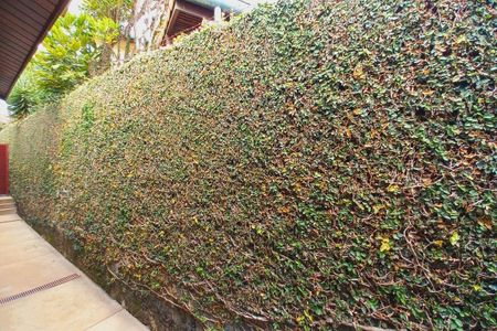 Casa de condomínio à venda com 363m², 4 quartos e 4 vagas Casa de condomínio à venda com 363m², 4 quartos e 4 vagasVista da Área de Serviço