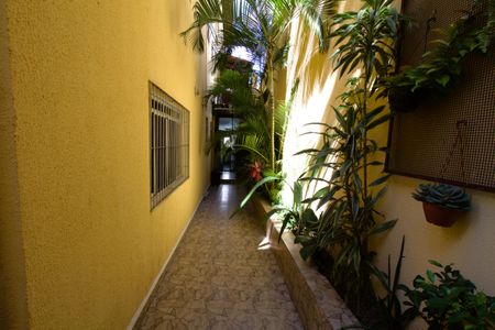 Apartamento para alugar com 320m², 5 quartos e 2 vagas Apartamento para alugar com 320m², 5 quartos e 2 vagasQuintal