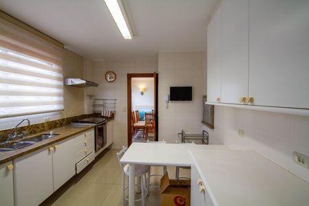 Apartamento para alugar com 235m², 4 quartos e 2 vagas Apartamento para alugar com 235m², 4 quartos e 2 vagasCozinha