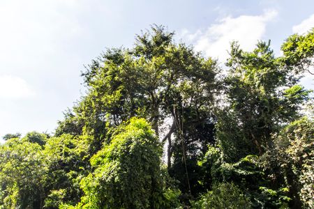 Apartamento para alugar com 50m², 2 quartos e 1 vagaVista