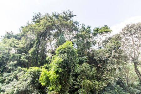 Apartamento para alugar com 50m², 2 quartos e 1 vagaVista do Quarto 2