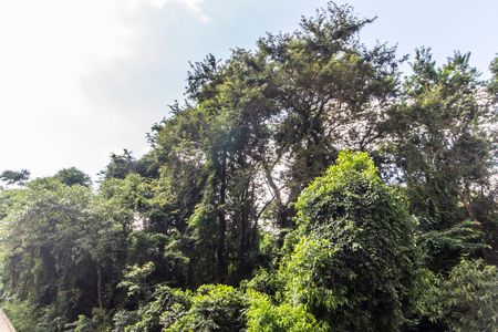Apartamento para alugar com 50m², 2 quartos e 1 vagaVista do Quarto 2