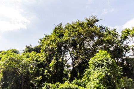 Apartamento para alugar com 50m², 2 quartos e 1 vagaVista do Quarto 1