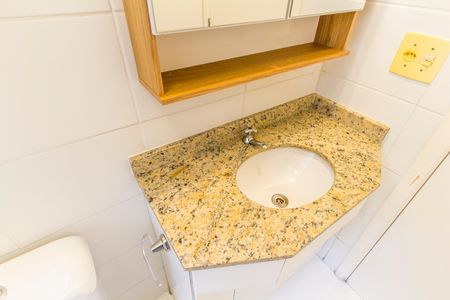Apartamento para alugar com 50m², 2 quartos e 1 vagaDetalhe do banheiro