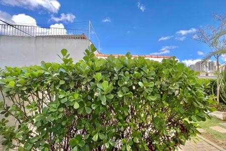 Apartamento para alugar com 67m², 2 quartos e 1 vaga Apartamento para alugar com 67m², 2 quartos e 1 vagaVista da Suíte