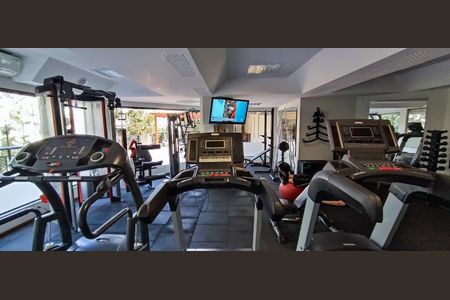 Apartamento para alugar com 228m², 4 quartos e 4 vagasÁrea comum - Academia