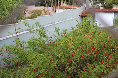 Casa de condomínio para alugar com 390m², 5 quartos e 4 vagasVista do Quarto 2