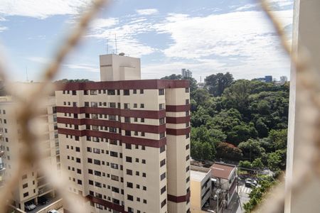 Apartamento para alugar com 169m², 3 quartos e 2 vagasvista varanda do Quarto