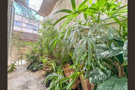 Apartamento à venda com 346m², 5 quartos e sem vagaJardim de inverno