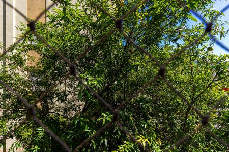 Apartamento à venda com 60m², 2 quartos e 1 vagaQuarto 2 - Vista