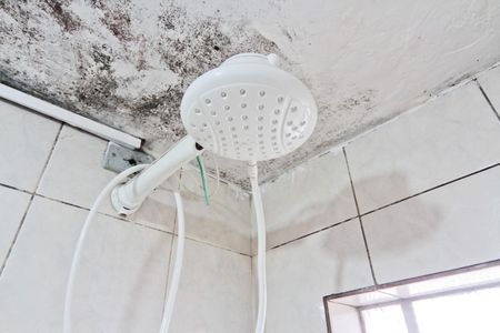 Casa à venda com 300m², 2 quartos e 2 vagasBanheiro