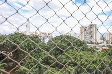 Apartamento para alugar com 147m², 3 quartos e 2 vagasVista da Varanda Gourmet