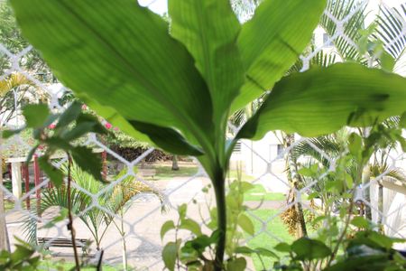 Apartamento para alugar com 48m², 2 quartos e 1 vagaVista da Cozinha