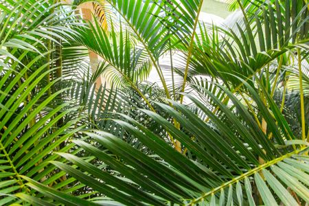 Casa de condomínio à venda com 503m², 4 quartos e 3 vagasVista da Sala