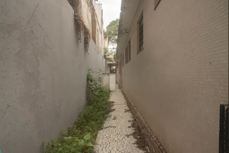 Casa à venda com 660m², 3 quartos e 3 vagasQuintal - Acesso lateral