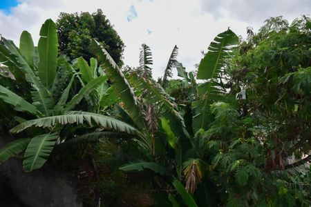 Apartamento para alugar com 170m², 3 quartos e sem vaga Apartamento para alugar com 170m², 3 quartos e sem vagaVista da Sala/ Quarto