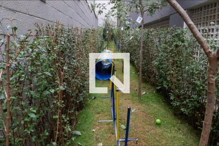 Apartamento para alugar com 36m², 2 quartos e sem vaga Apartamento para alugar com 36m², 2 quartos e sem vagaÁrea comum - Espaço Pet