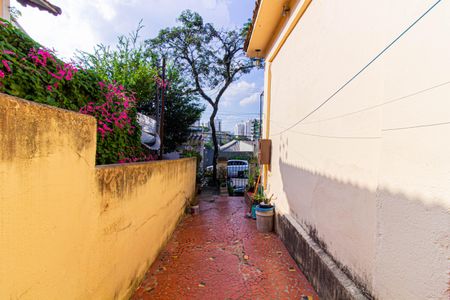 Casa à venda com 312m², 2 quartos e 2 vagasÁrea de Serviço - Casa 1