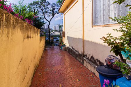 Casa à venda com 312m², 2 quartos e 2 vagasÁrea de Serviço - Casa 1