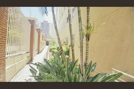 Apartamento à venda com 60m², 3 quartos e 1 vaga