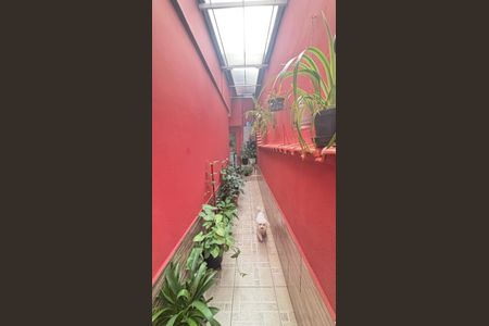 Casa à venda com 194m², 4 quartos e 2 vagasÁrea de Serviço - Quintal