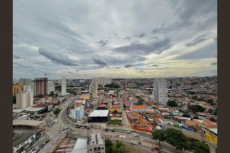 Apartamento para alugar com 36m², 1 quarto e sem vaga Apartamento para alugar com 36m², 1 quarto e sem vagaVista Sacada Cozinha