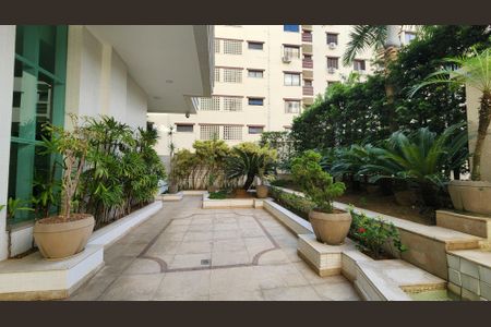 Apartamento para alugar com 360m², 4 quartos e 4 vagasJardim