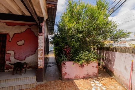 Casa para alugar com 142m², 4 quartos e 3 vagasJardim