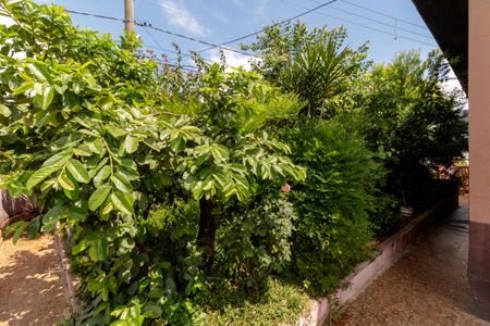 Casa para alugar com 142m², 4 quartos e 3 vagasJardim