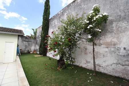 Casa para alugar com 168m², 3 quartos e 4 vagasQuintal