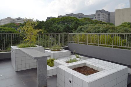 Studio para alugar com 25m², 1 quarto e sem vagaÁrea comum - Lounge