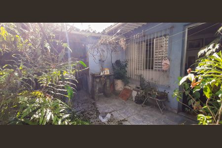 Casa para alugar com 240m², 3 quartos e 1 vagaQuintal