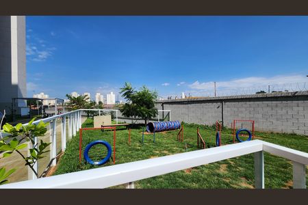 Apartamento para alugar com 45m², 2 quartos e 1 vaga Apartamento para alugar com 45m², 2 quartos e 1 vagaÁrea Pet