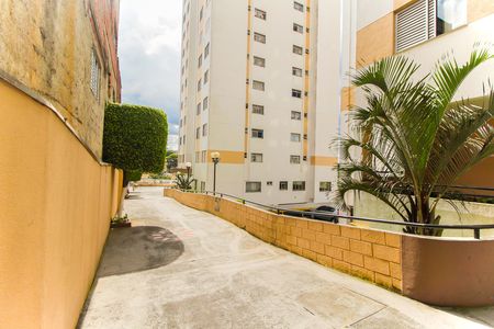Apartamento para alugar com 55m², 3 quartos e 1 vaga Apartamento para alugar com 55m², 3 quartos e 1 vagaÁrea Comum