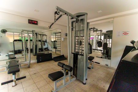 Apartamento para alugar com 55m², 3 quartos e 1 vaga Apartamento para alugar com 55m², 3 quartos e 1 vagaAcademia
