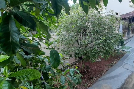 Casa de condomínio à venda com 300m², 3 quartos e 3 vagasPomar e Jardim