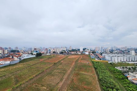 Apartamento para alugar com 78m², 3 quartos e 1 vaga Apartamento para alugar com 78m², 3 quartos e 1 vagaVista do Quarto 1