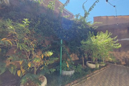 Casa para alugar com 300m², 3 quartos e 3 vagasQuintal