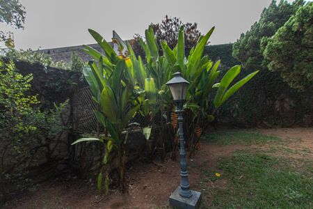 Casa para alugar com 700m², 6 quartos e 8 vagasQuintal